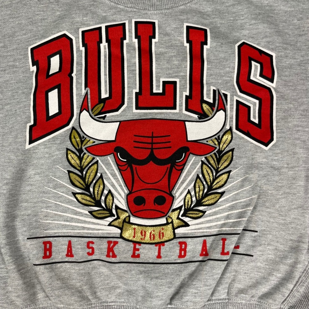 Vintage Style Chicago Bulls Cropped Sweatshirt Gray Women's Large NBA Ultra Game - Picture 3 of 13